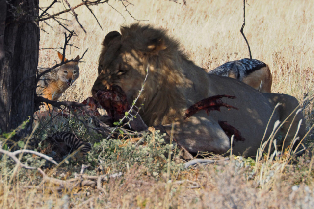 Namibia