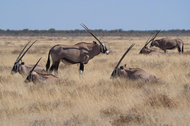 Namibia