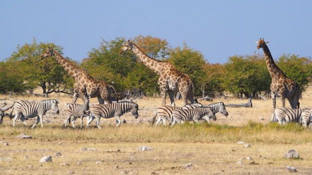 Namibia