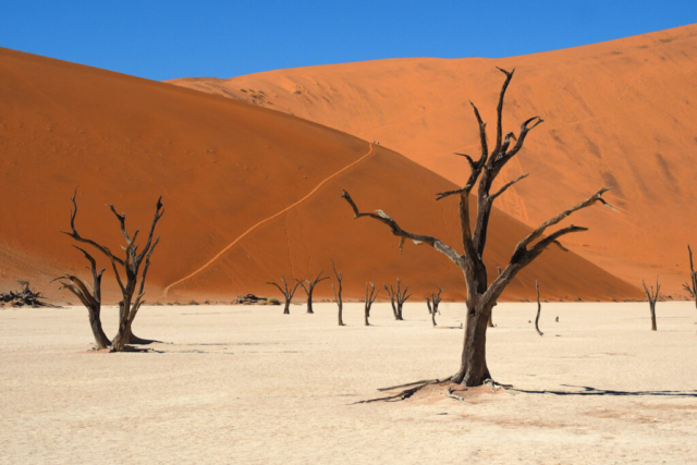 Namibia